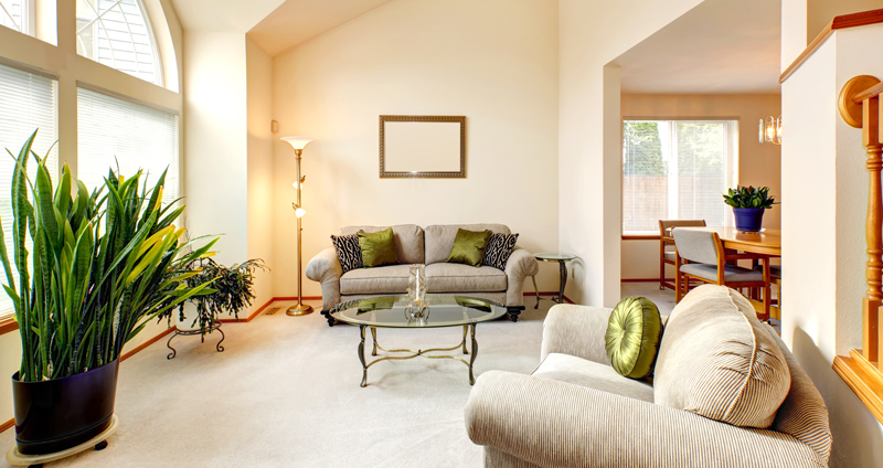 Bright neutral-toned living room with freshly painted walls and crisp trims by a house painter in Hopkinton, MA